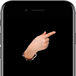 Screen